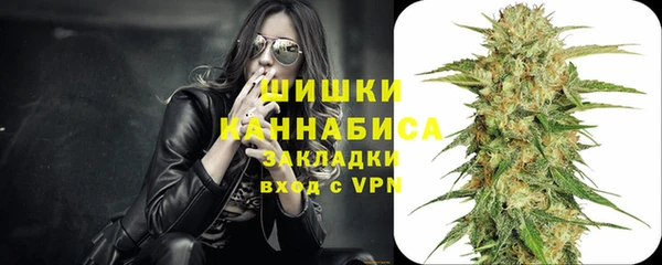 хмурый Арсеньев