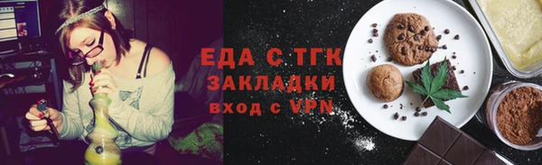 хмурый Арсеньев