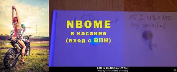 прущие грибы Аркадак