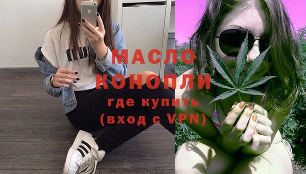 хмурый Арсеньев