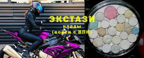 хмурый Арсеньев
