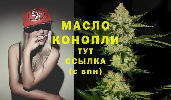 хмурый Арсеньев