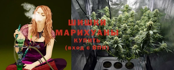 прущие грибы Аркадак