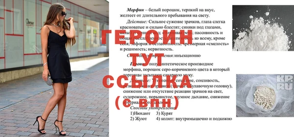 хмурый Арсеньев