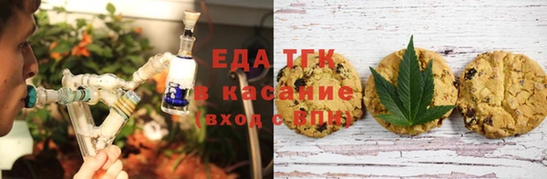 хмурый Арсеньев