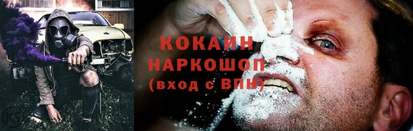хмурый Арсеньев